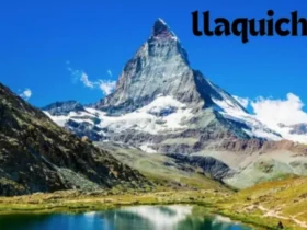 Llaquichan and Its Role