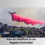 Wildfires in Los Angeles