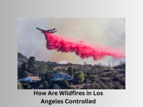 Wildfires in Los Angeles