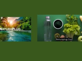 Naturaplugg.com