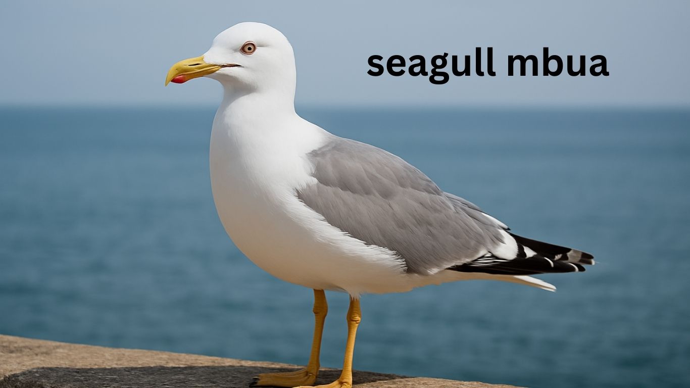 Seagol Mbua