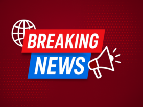 newznav.com 8888996650